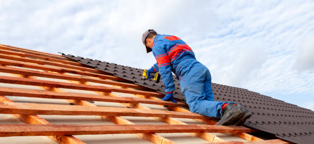 Best Chimney Flashing Repair  in South Amherst, OH